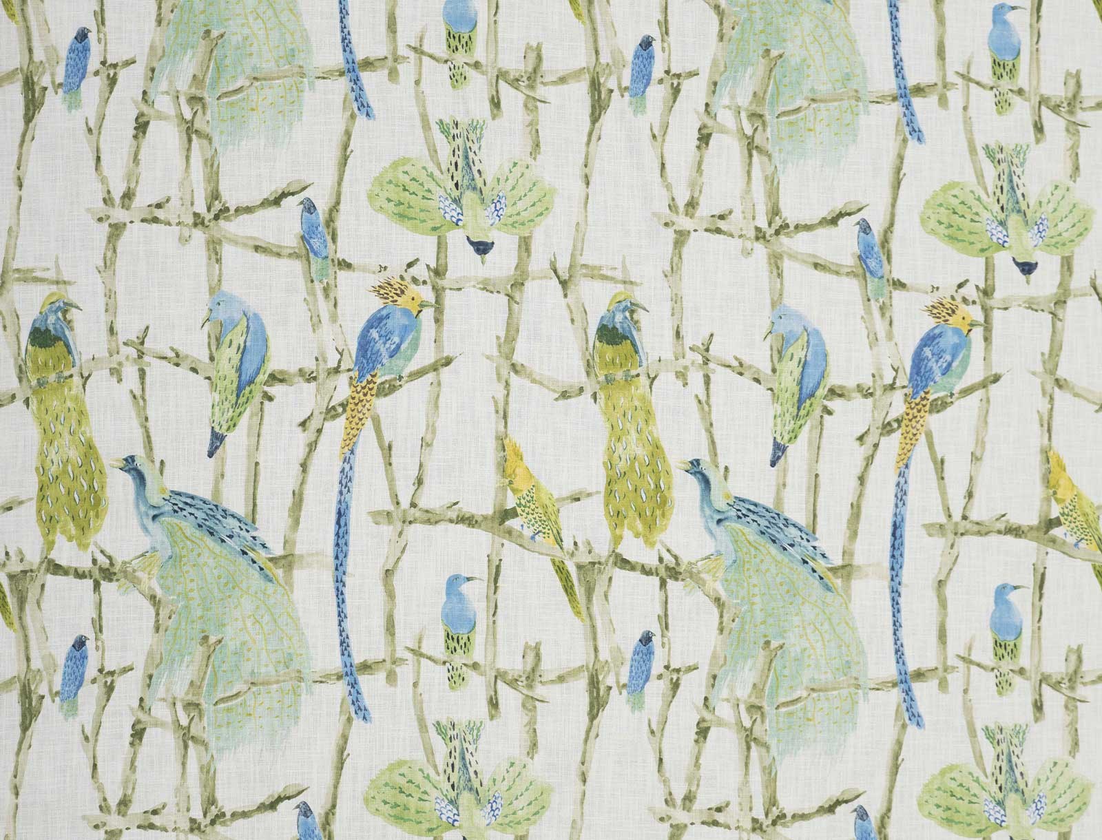 Exotic Birds 2330-01