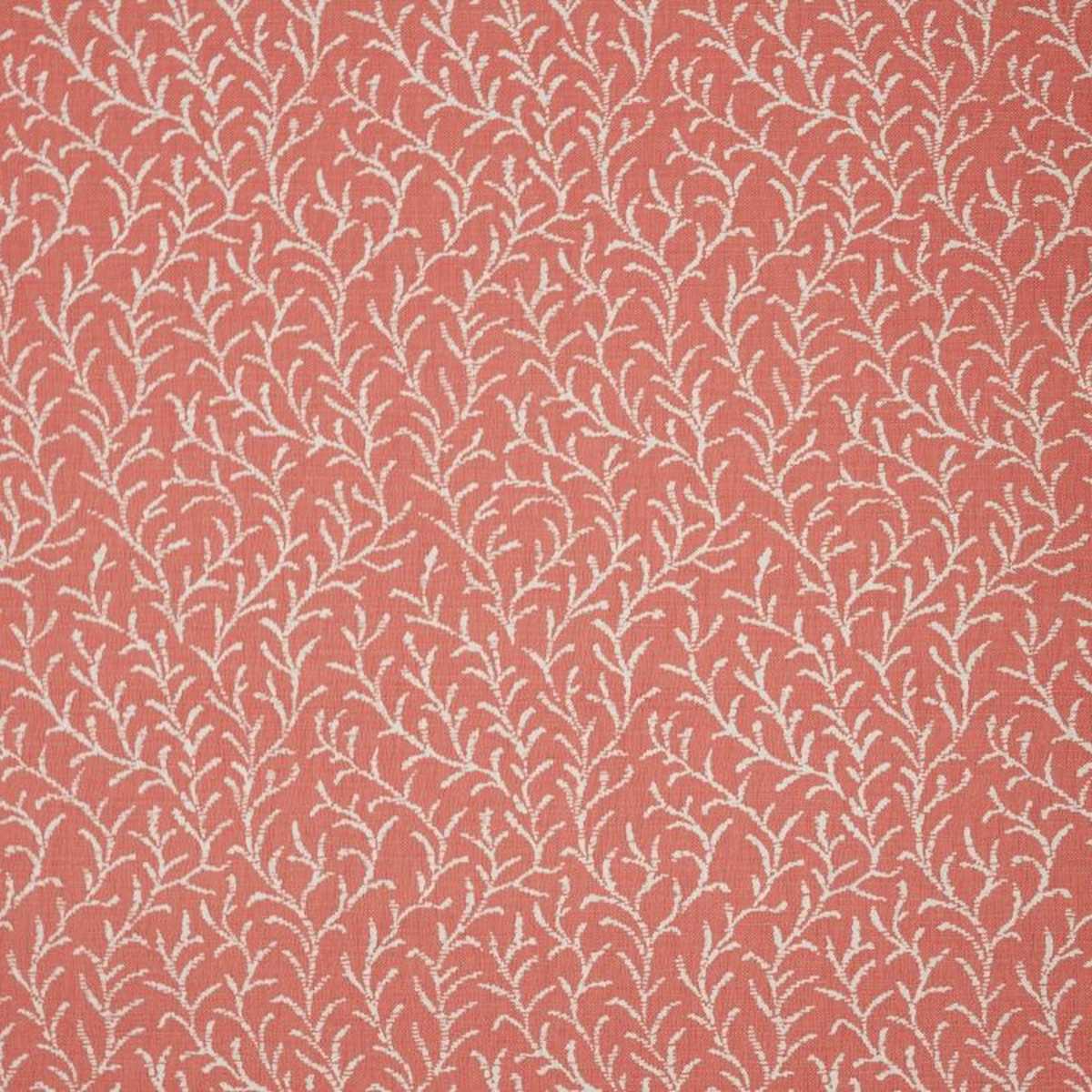 Samphire N9012395-001