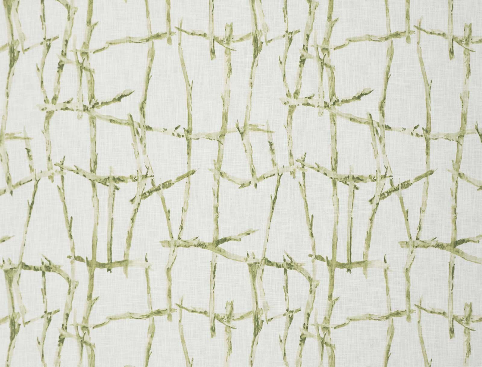 Selva 2329-01