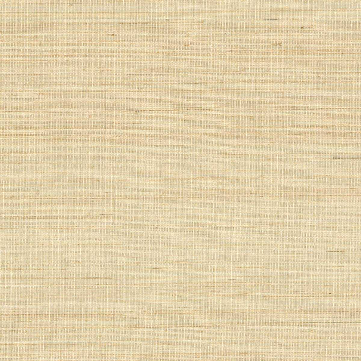 Abaca ABA11