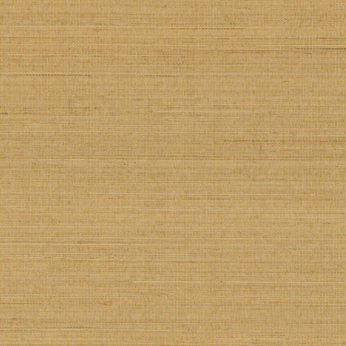 Abaca ABA13