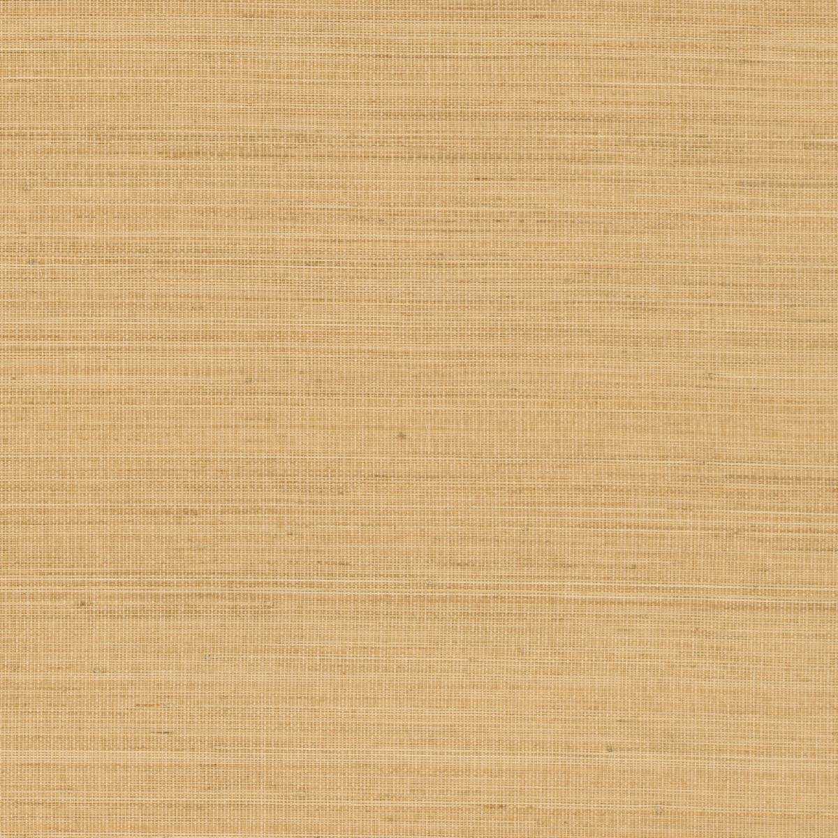 Abaca ABA16