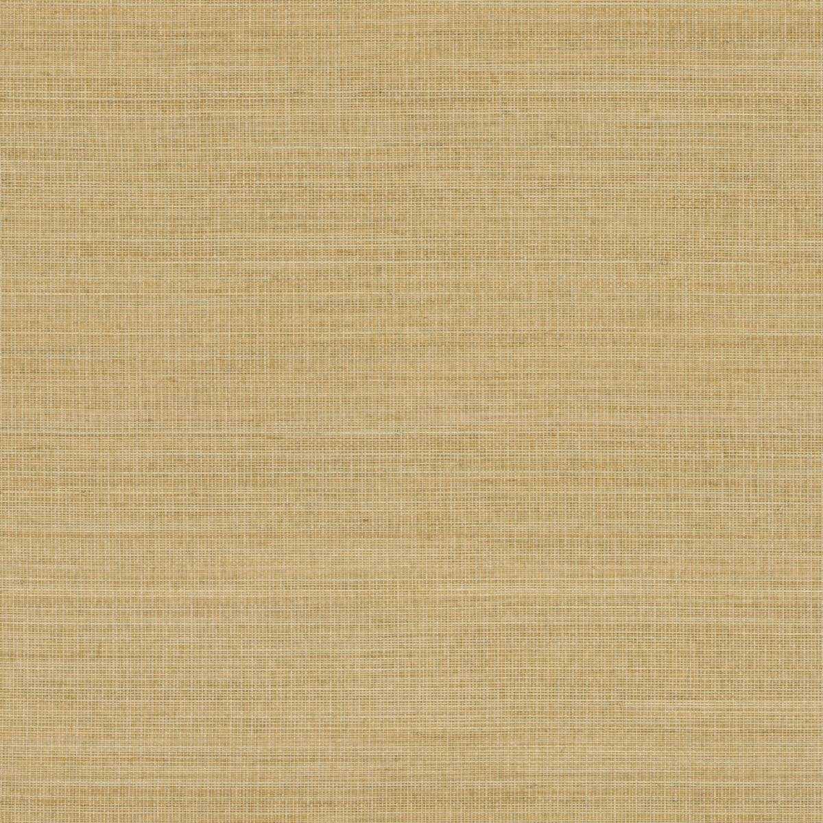 Abaca ABA17