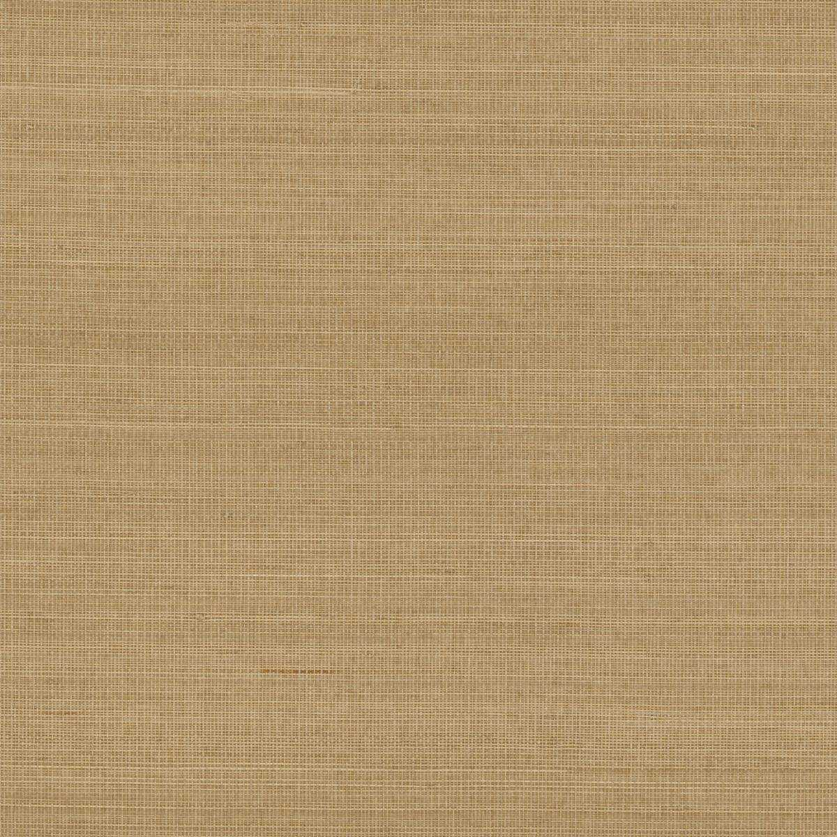 Abaca ABA19