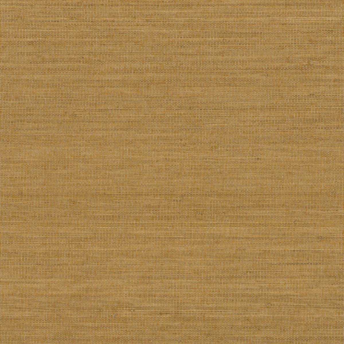 Abaca ABA20