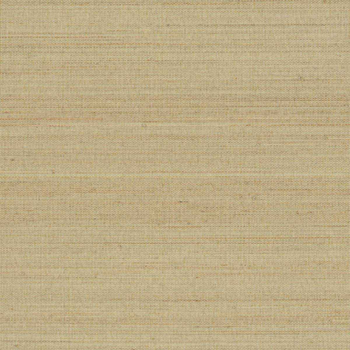 Abaca ABA22