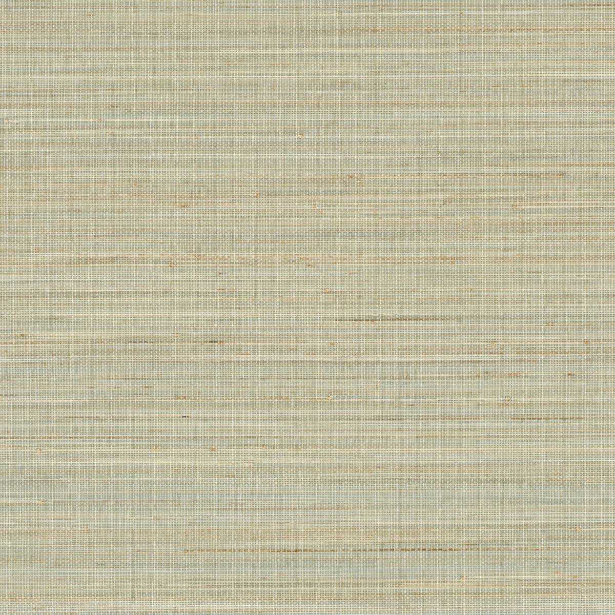 Abaca ABA23