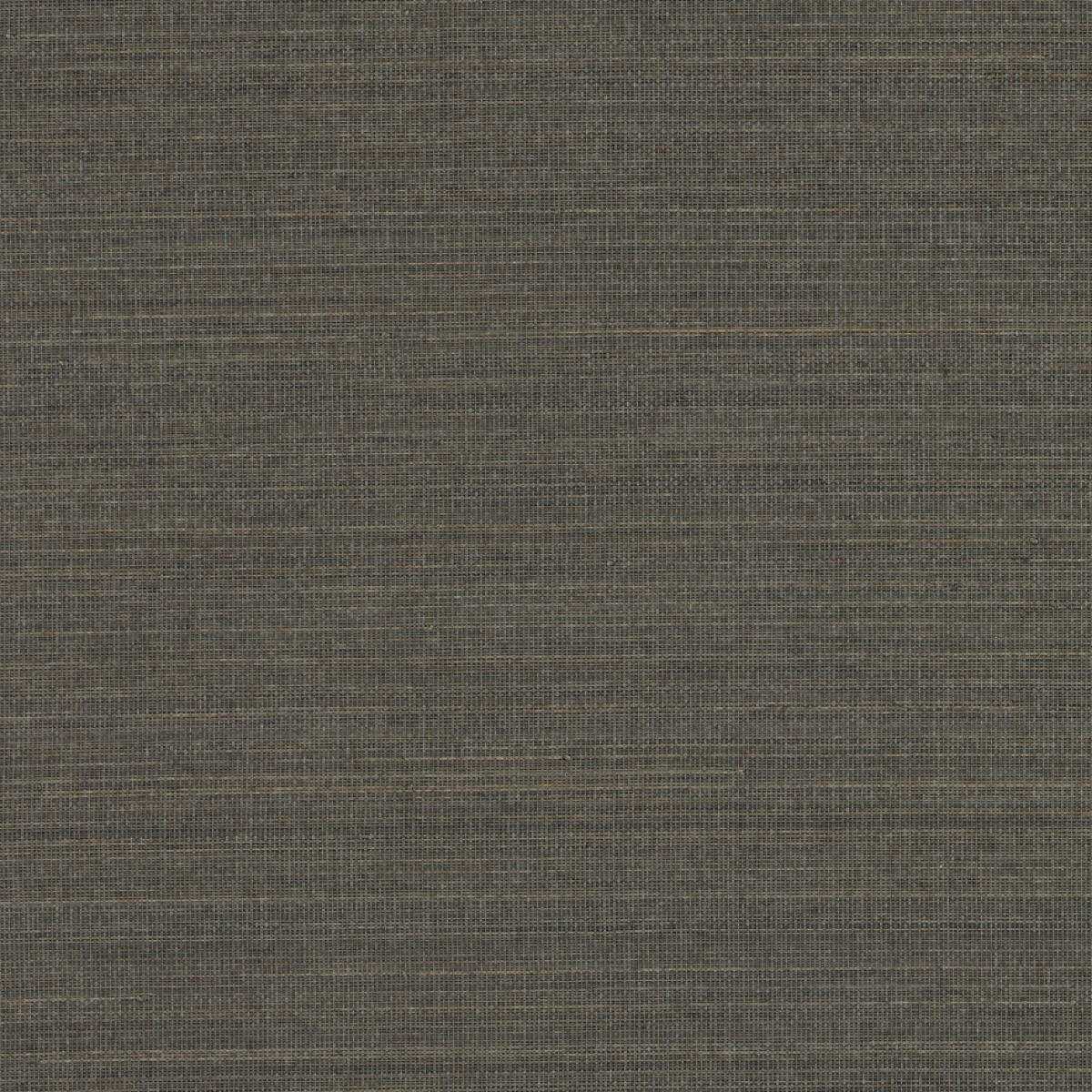 Abaca ABA31