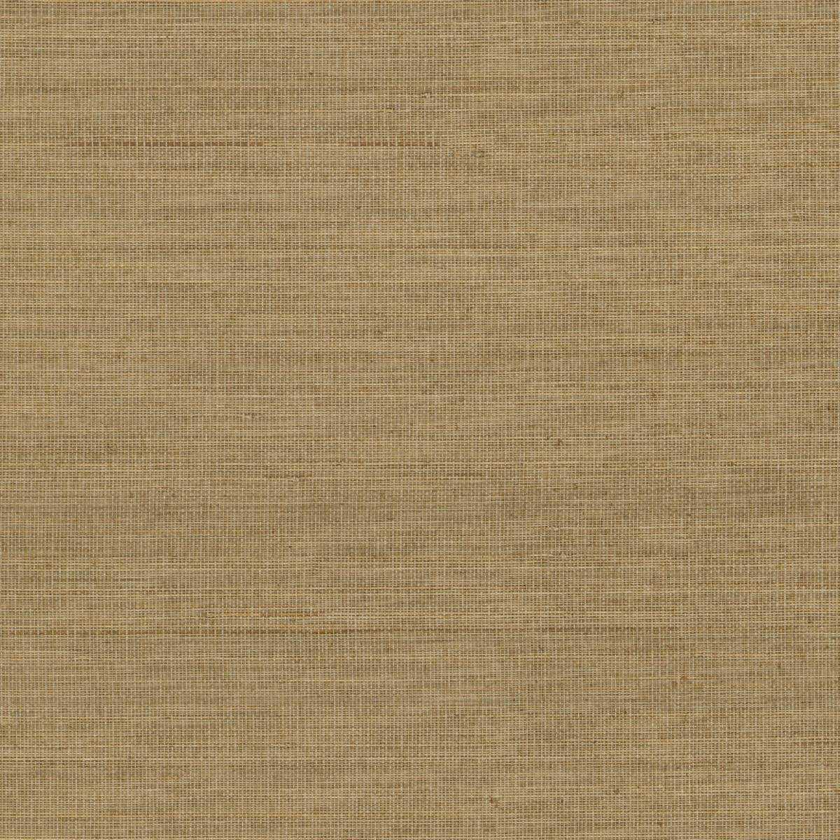 Abaca ABA34