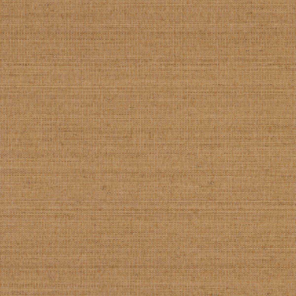 Abaca ABA35
