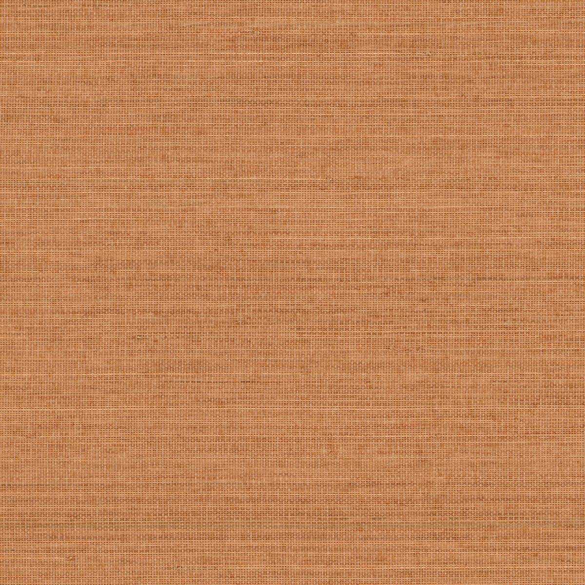 Abaca ABA36