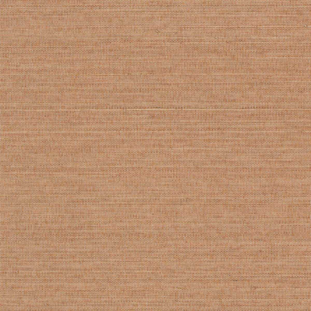 Abaca ABA37