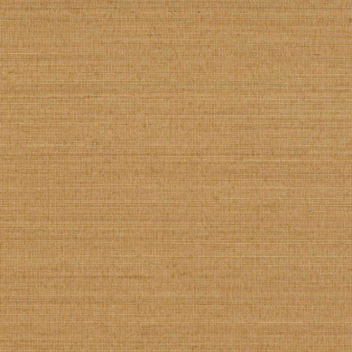 Abaca ABA38