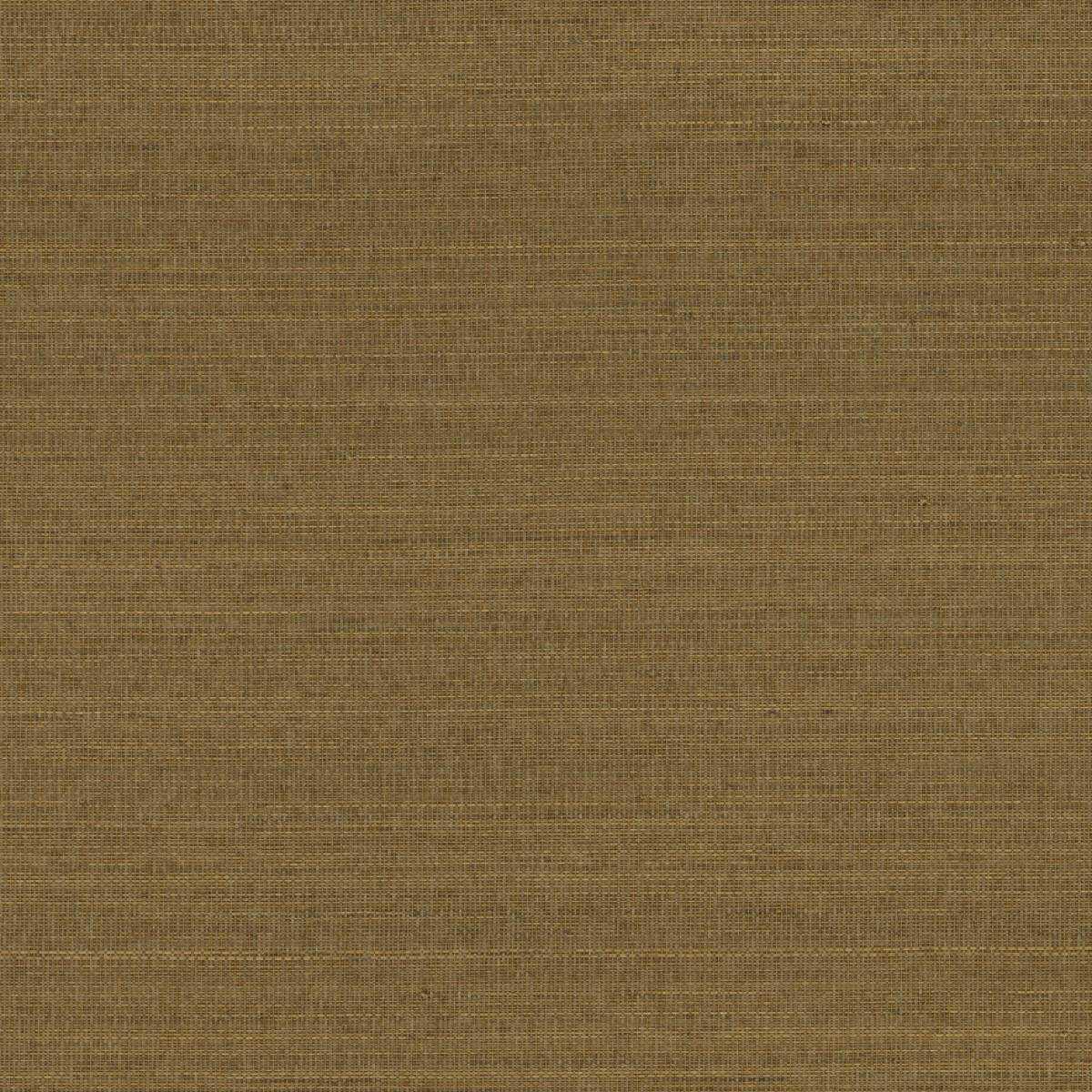 Abaca ABA40