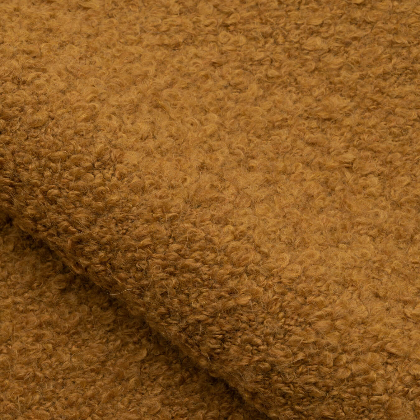 Awassi 10902-14