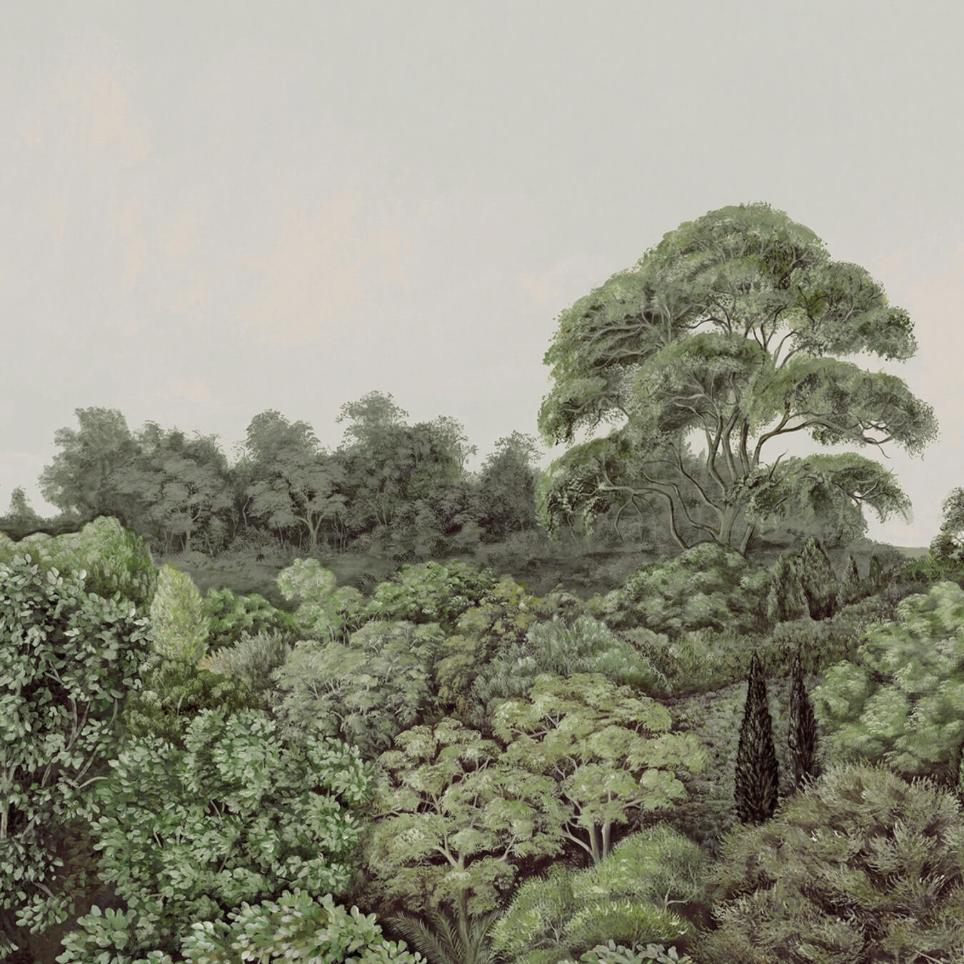 Canopy 1 MHP10