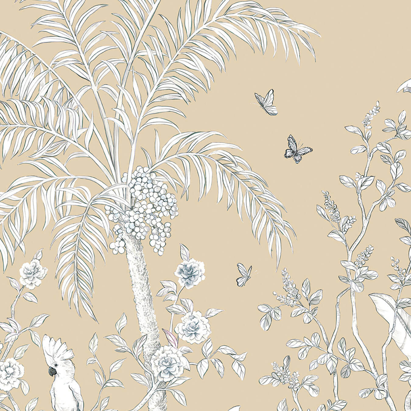 Papillons MHP72