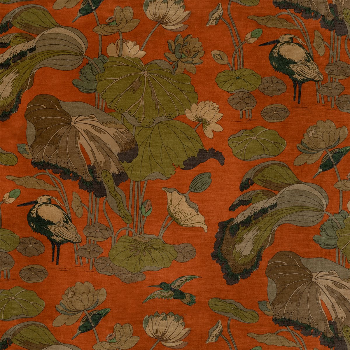 Nympheus Velvet BP10814-4