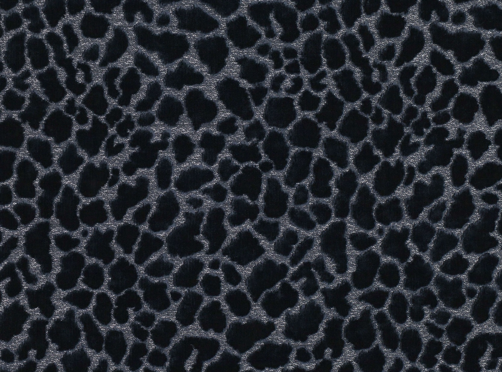 Ocelot Z516-03