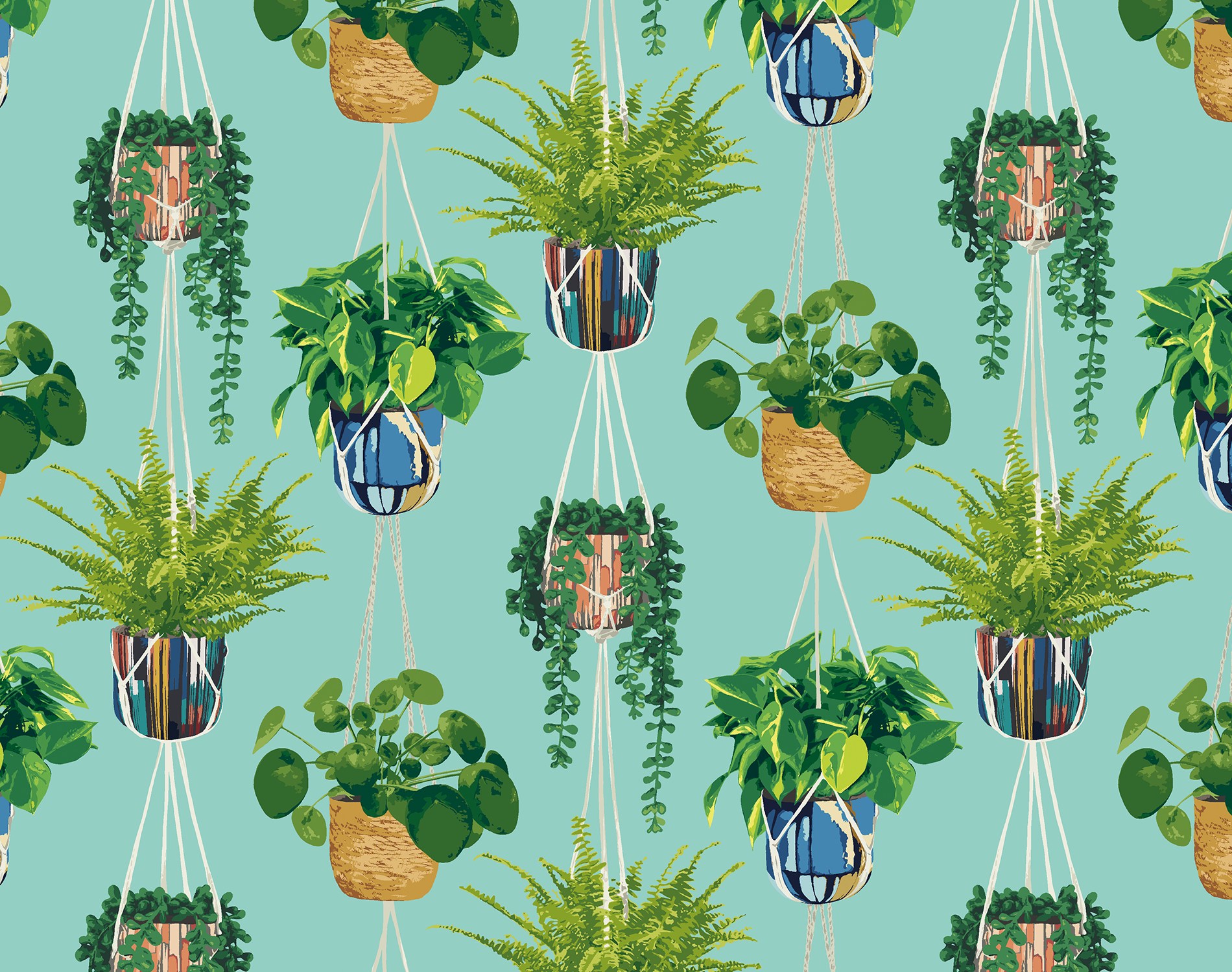 Houseplant GRA50108W