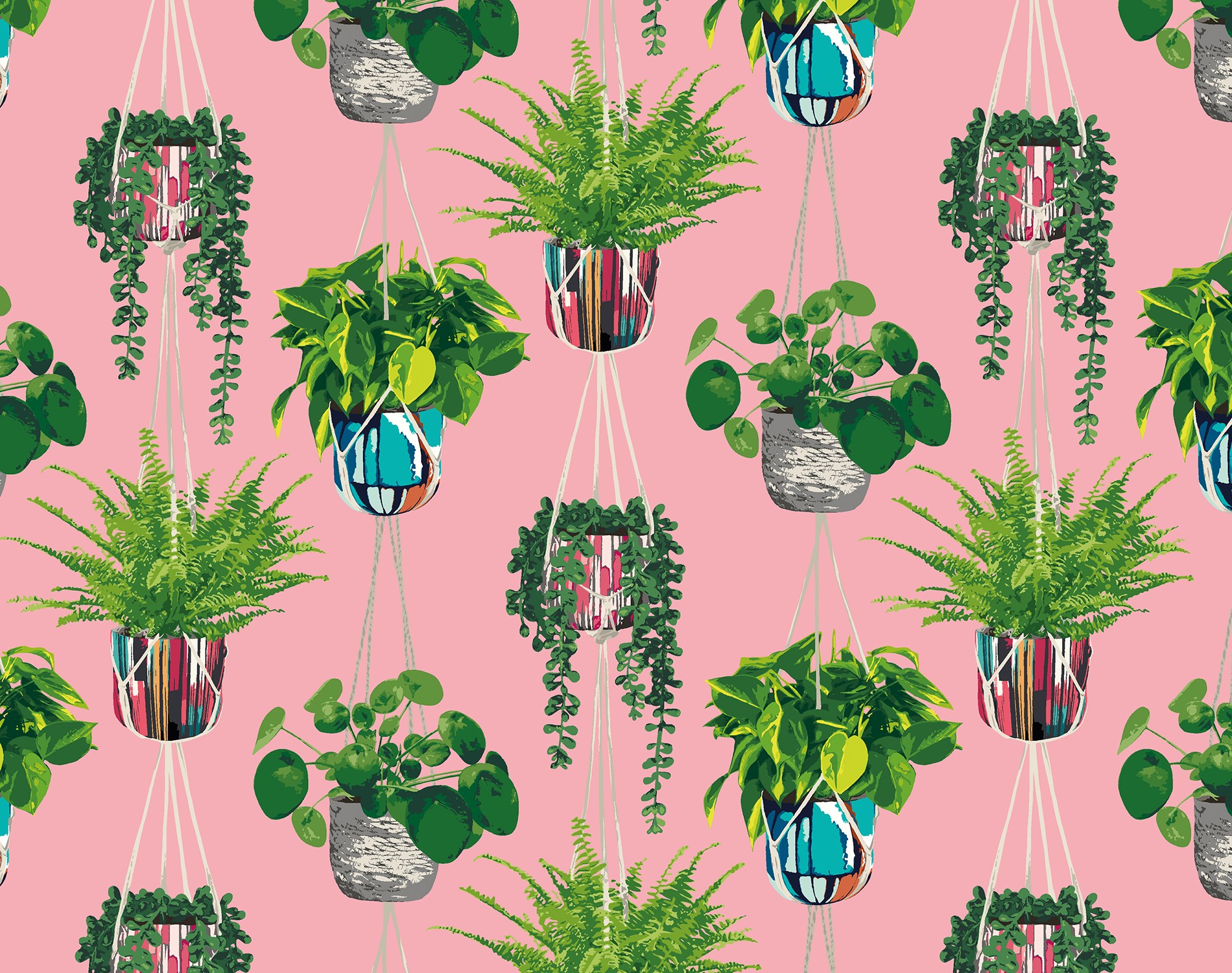Houseplant GRA50109W