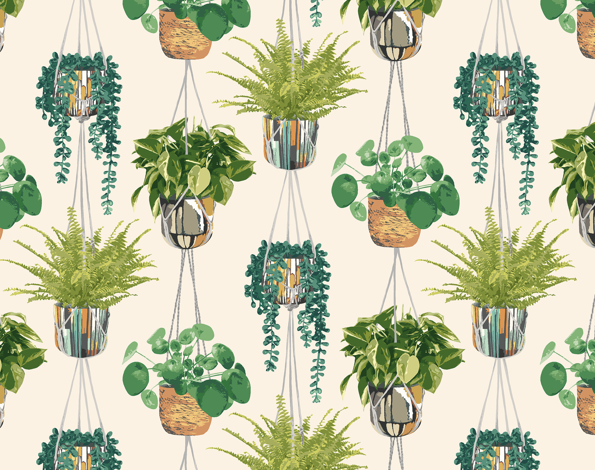 Houseplant GRA50111W