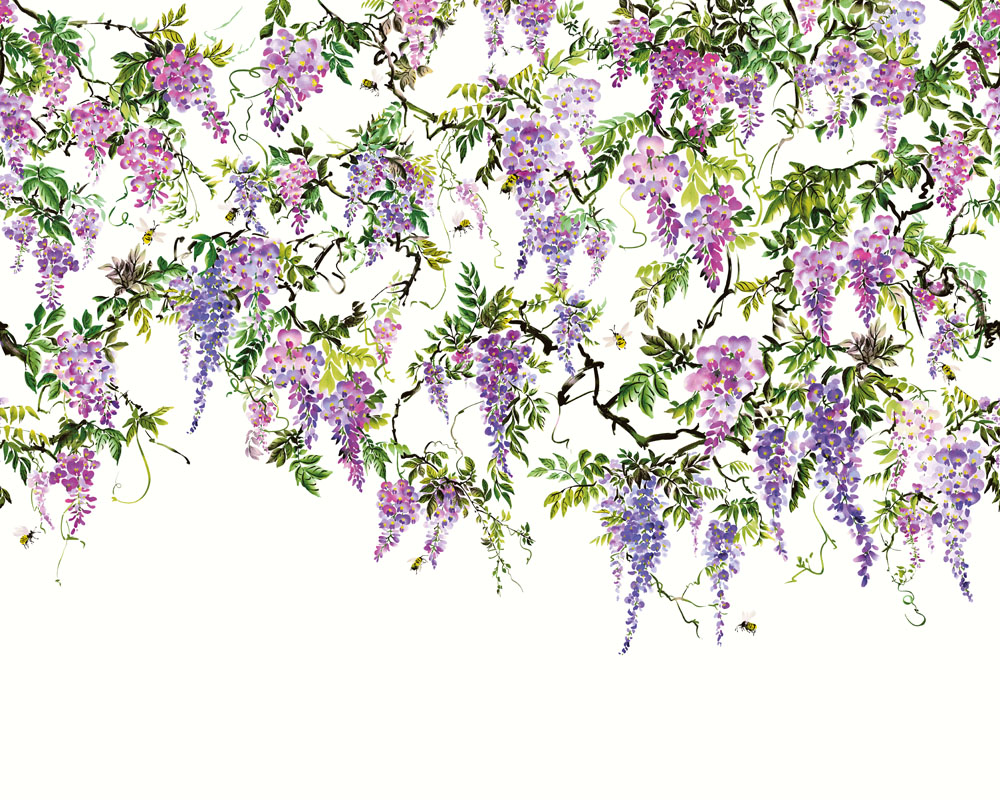 Trailing Wisteria ICN50110M