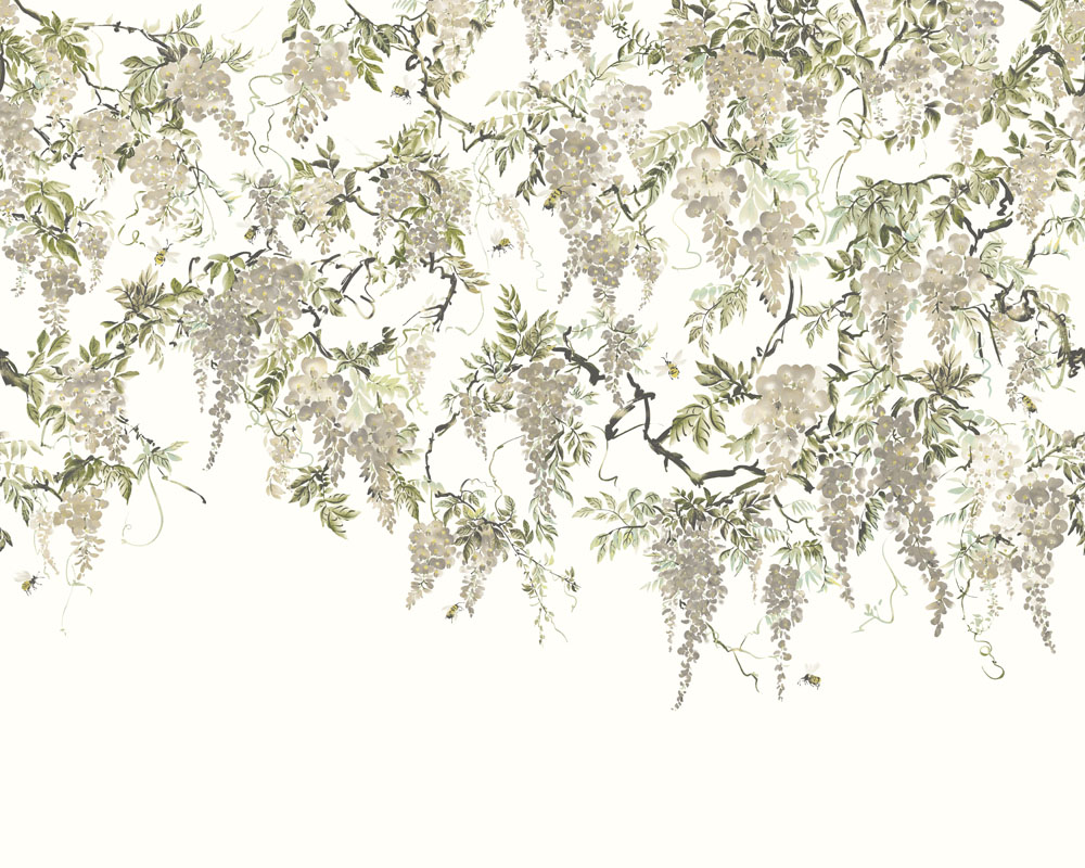 Trailing Wisteria ICN50113M