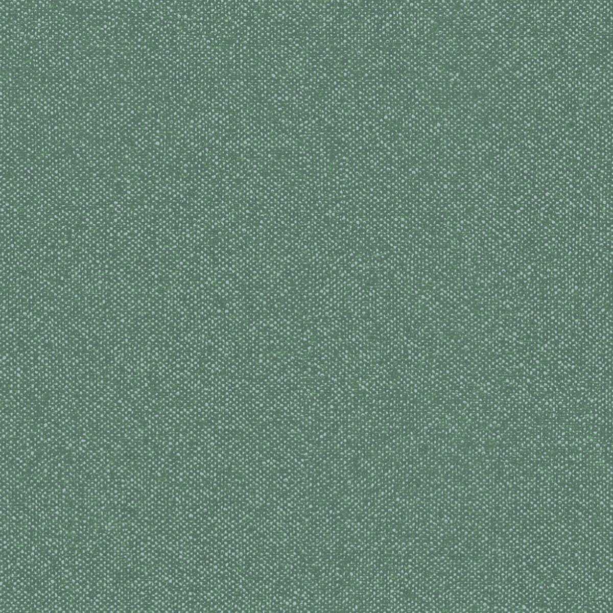 Boucle HPE202