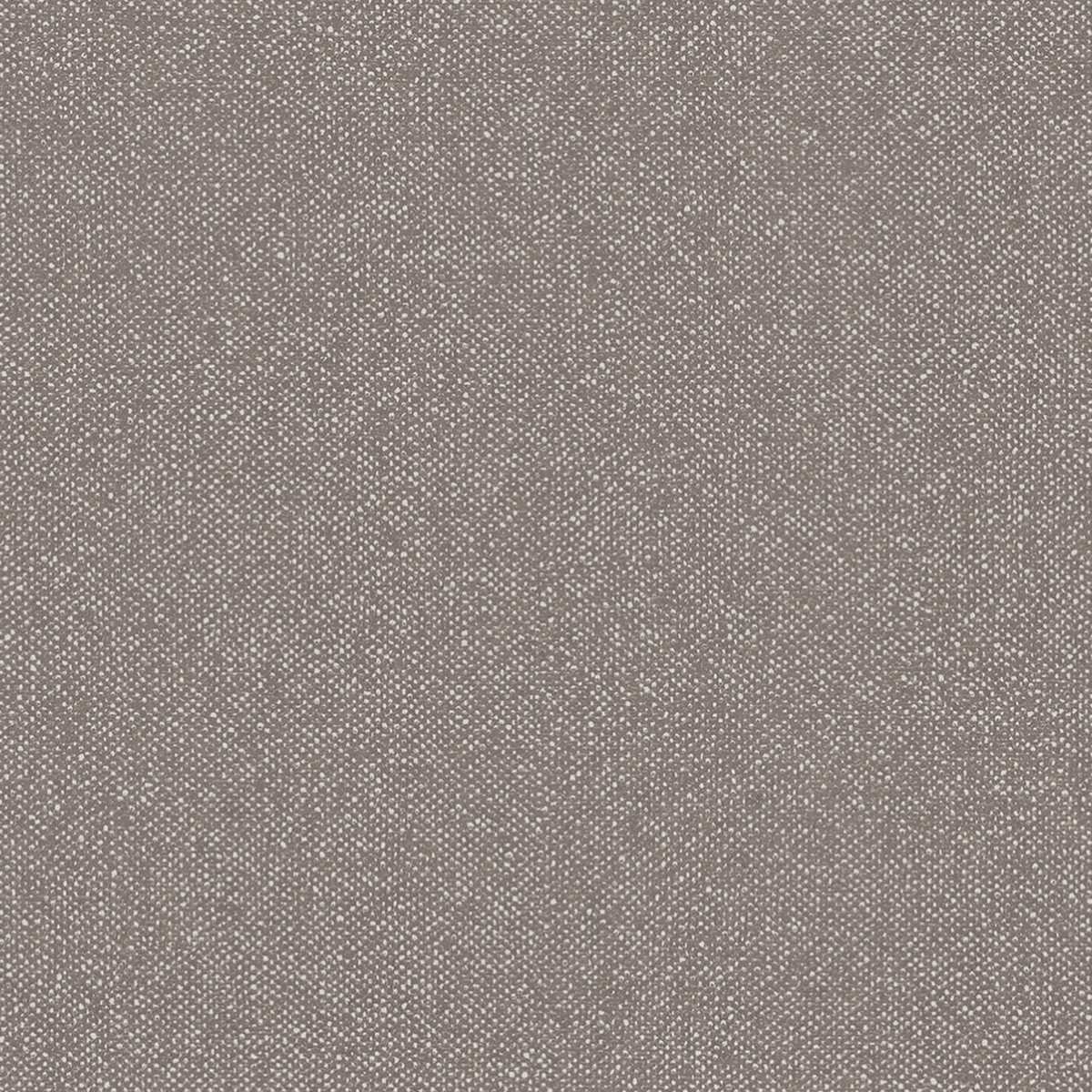 Boucle HPE204