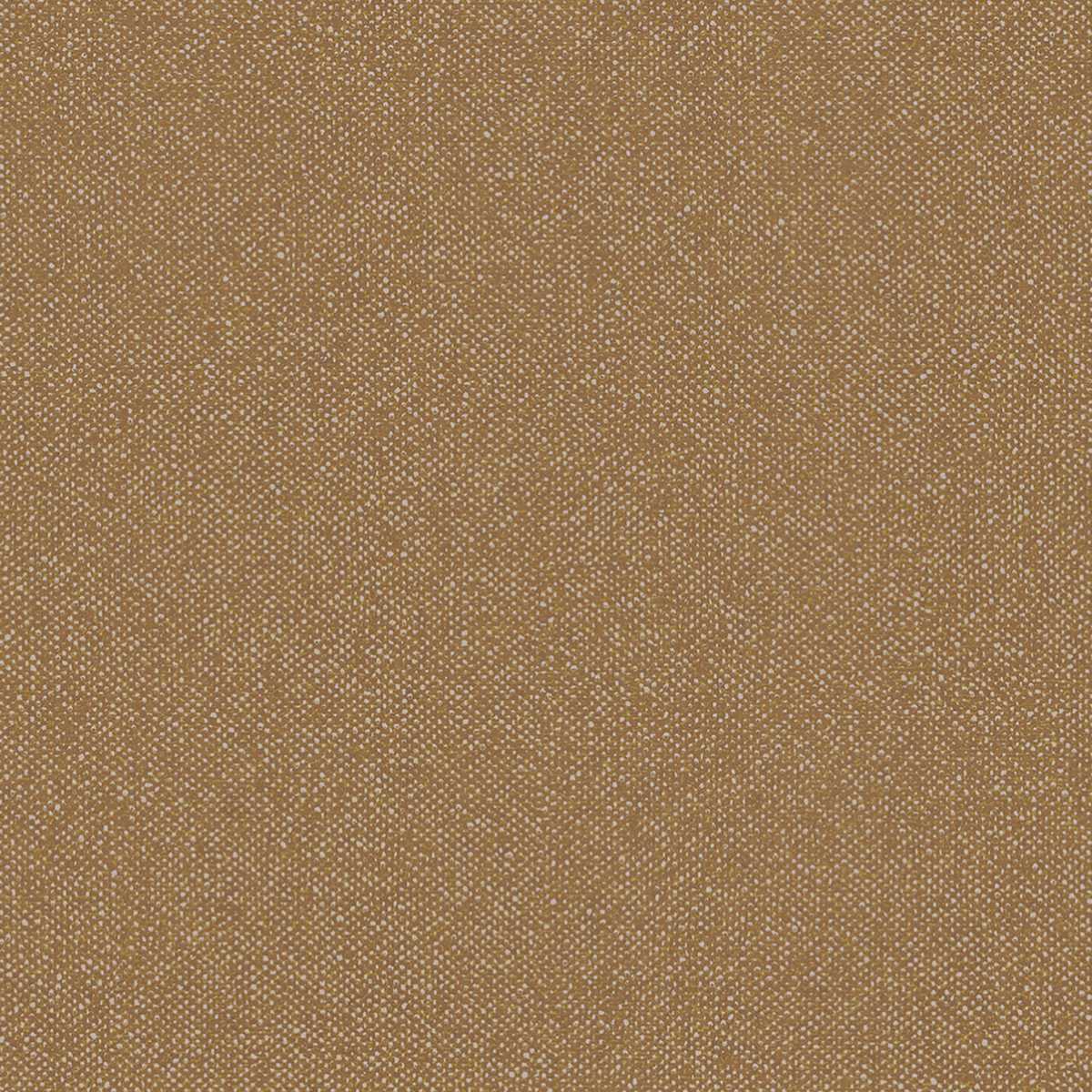 Boucle HPE205