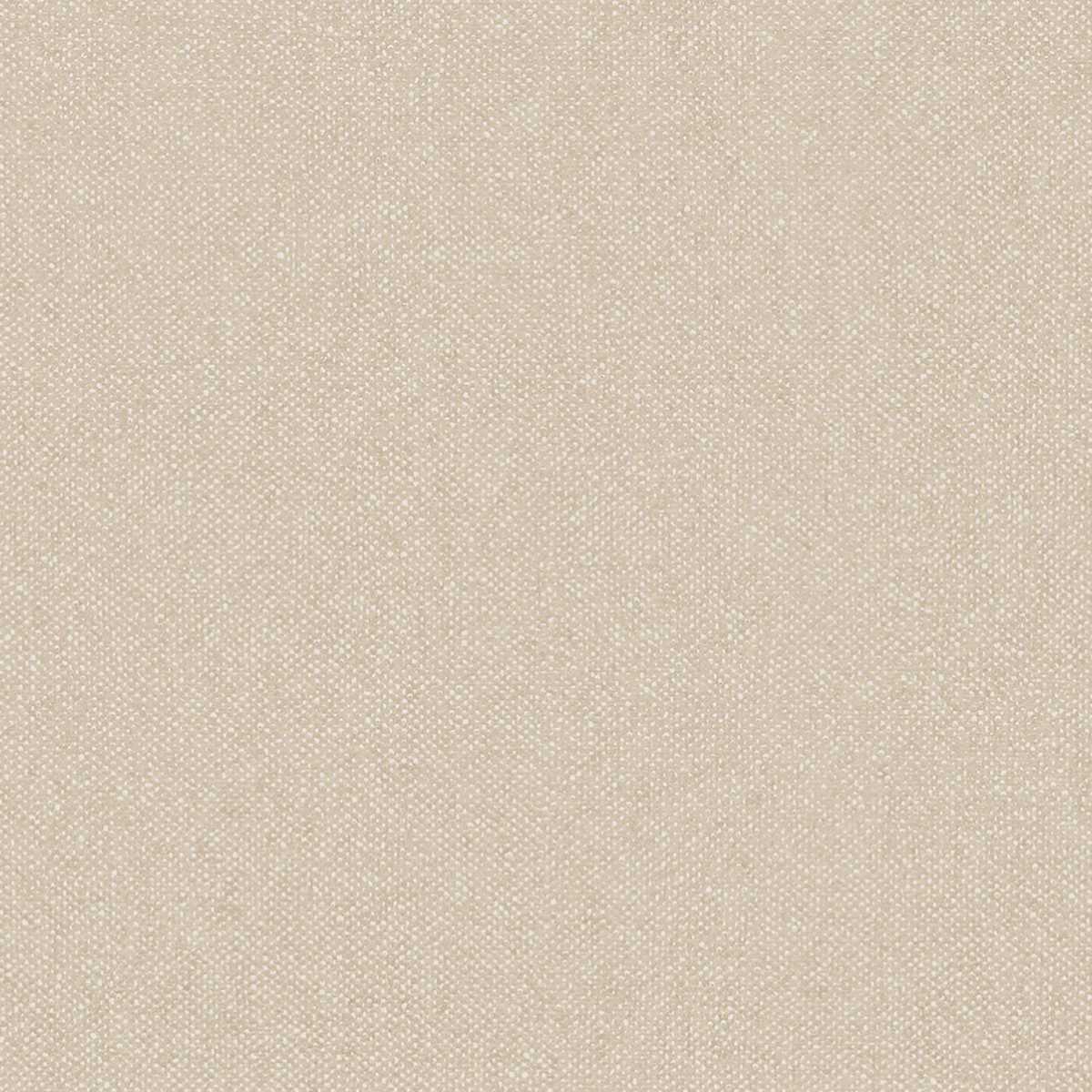 Boucle HPE206