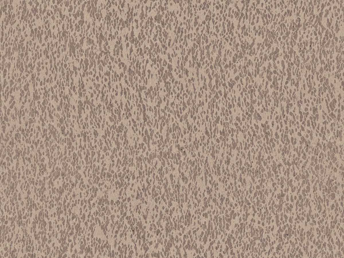 Casca CAS31