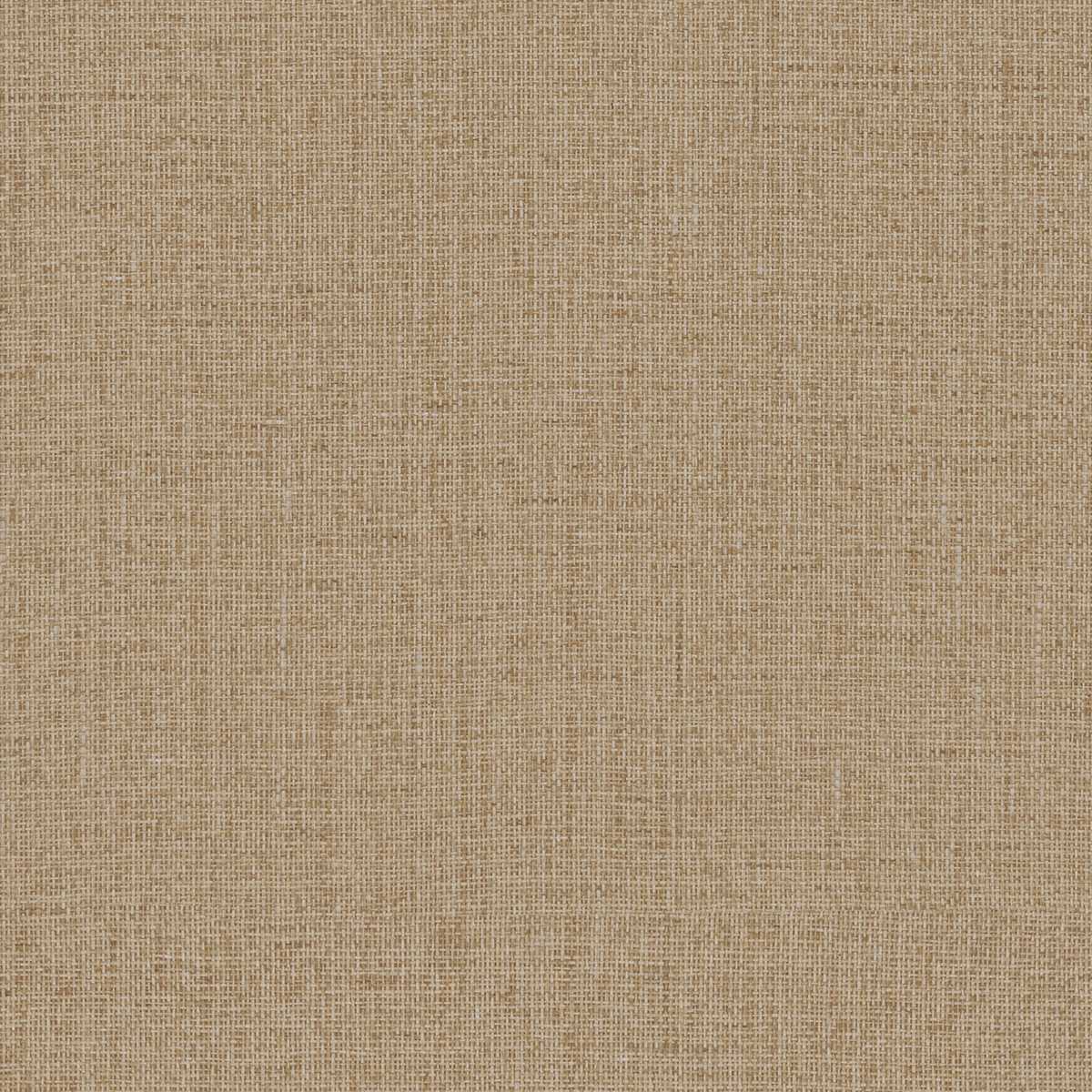 Cesta OAS292