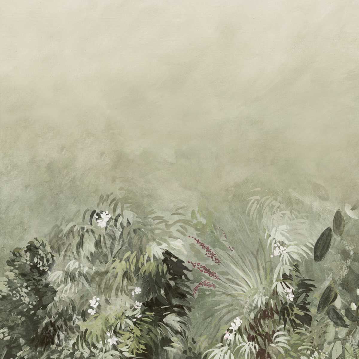 Ferns grow VIR7001