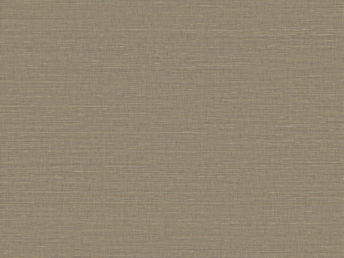 Loom Stories LS404