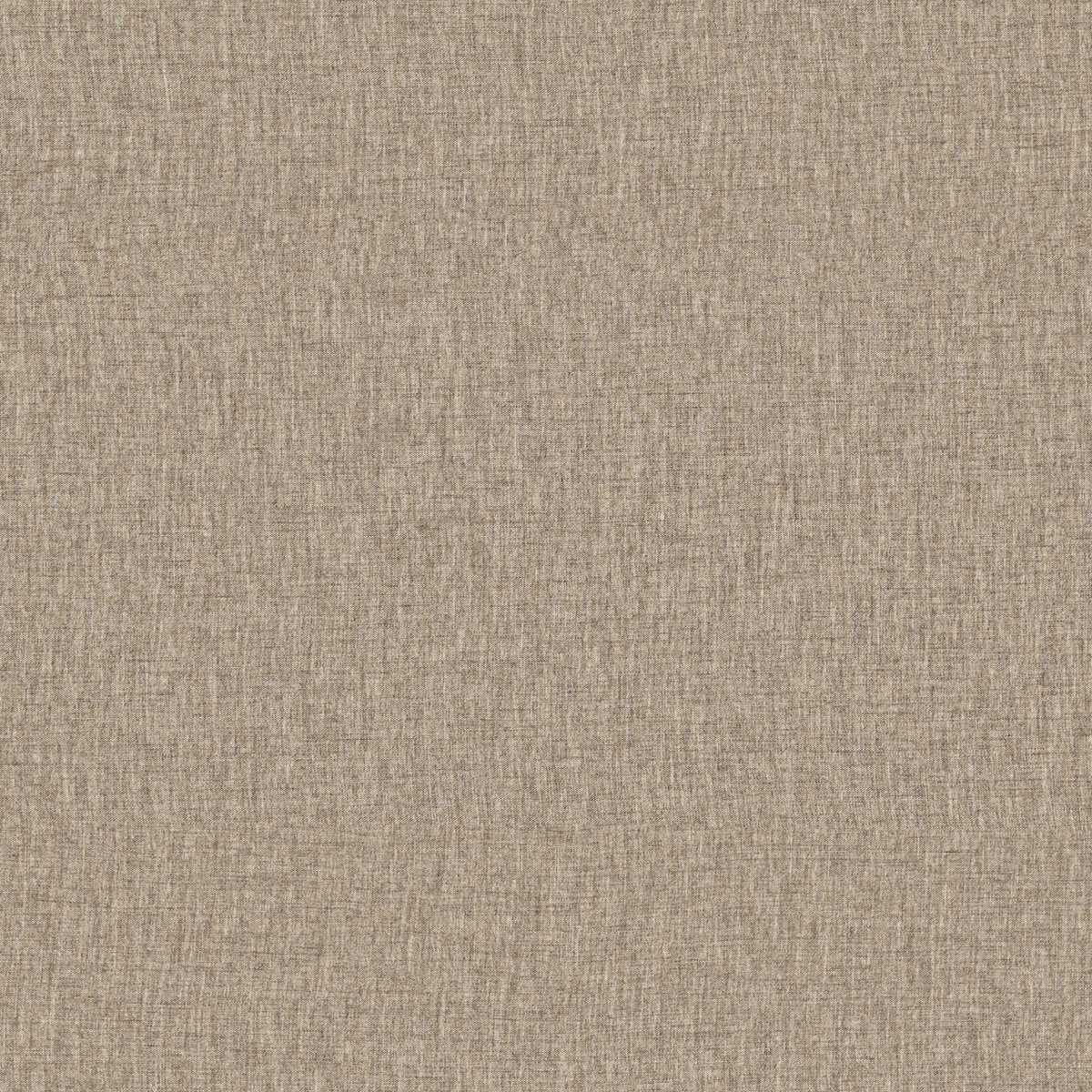 Nostalgic PU381