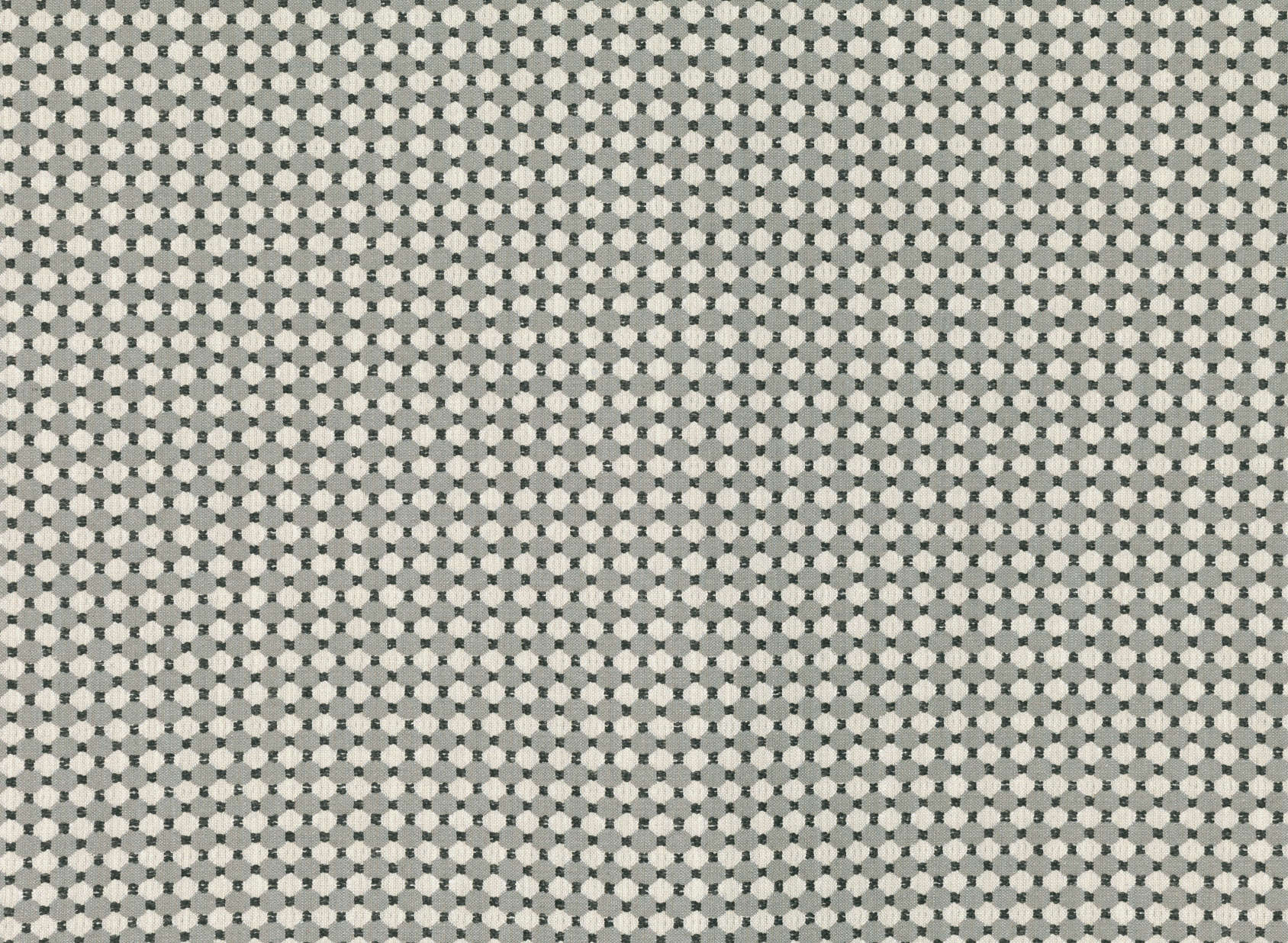 Opie Turtle Dove 7928-03