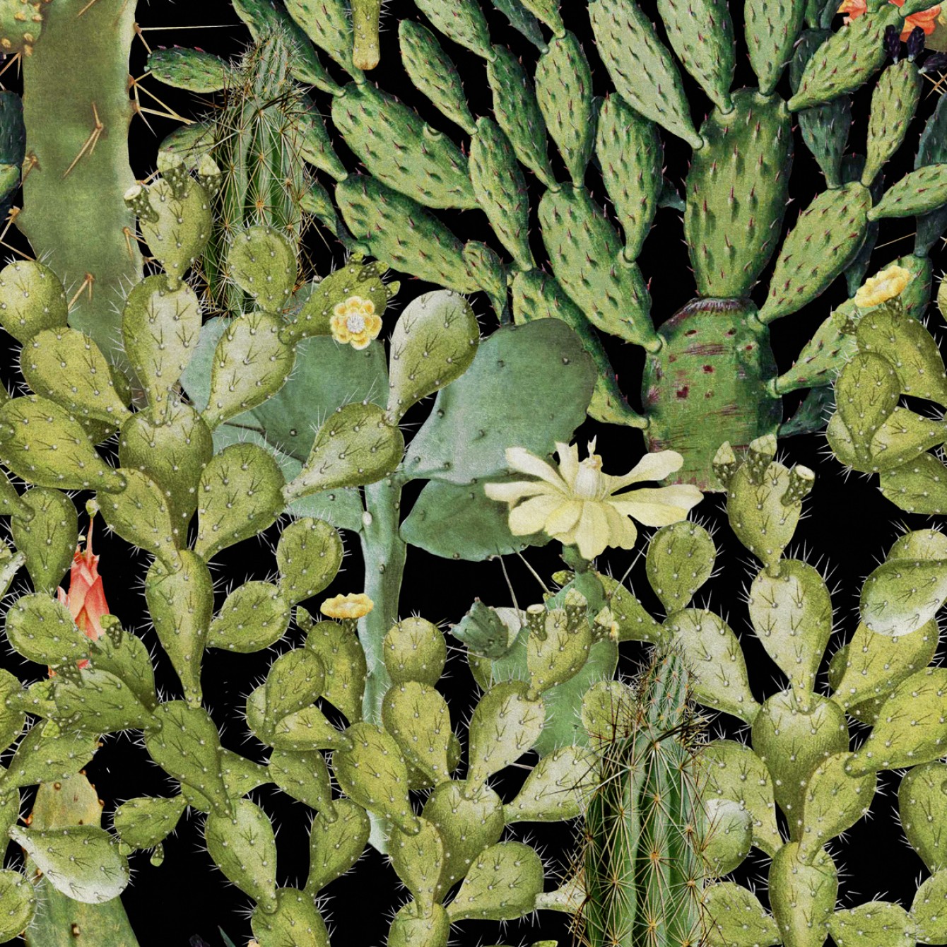 Opuntia Anthracite WP20165