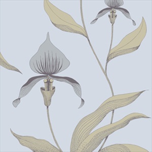 Orchid 66-4026