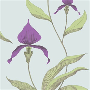 Orchid 66-4027