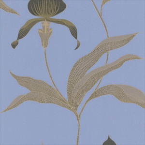 Orchid 66-4030