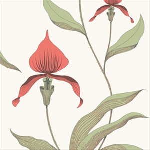 Orchid 95-10054