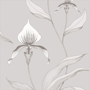 Orchid 95-10055