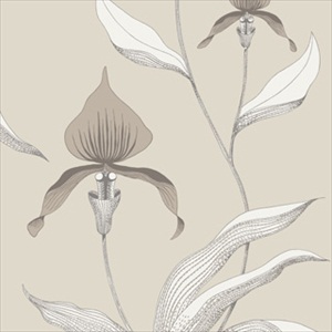 Orchid 95-10058