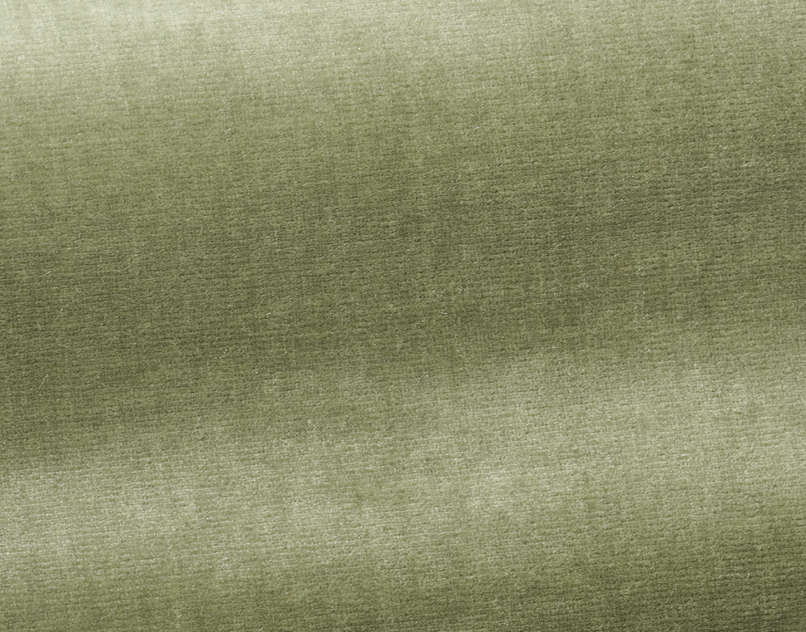Organzino I6604004