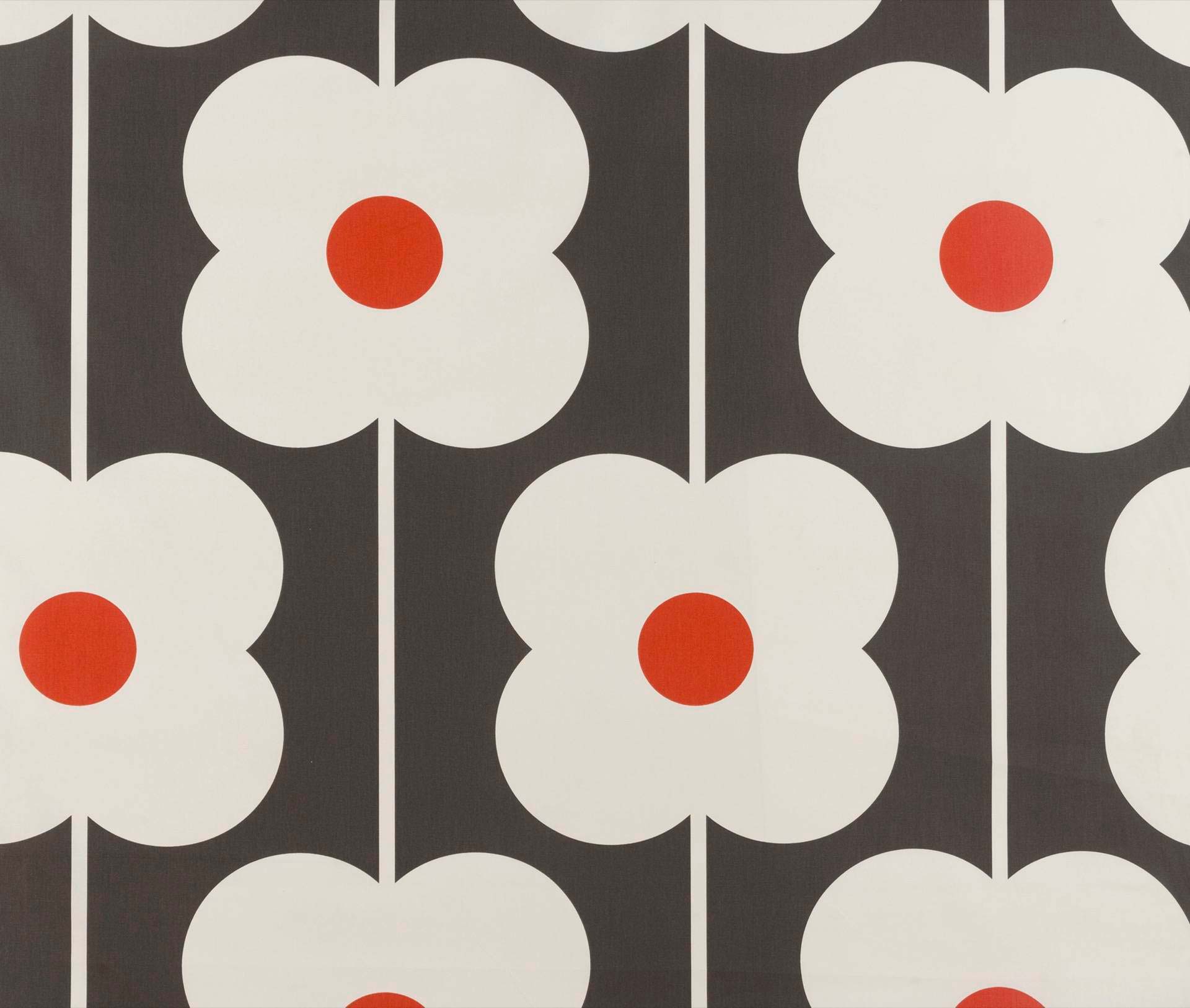 Abacus Flower ABACUSFLOWERTO