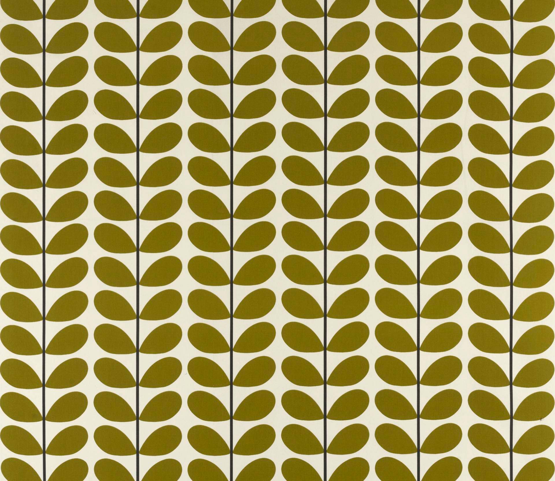 Two Colour Stem TWOCOLOURSTEMOL