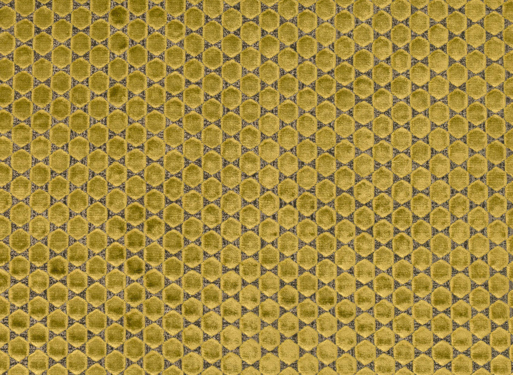 Orosi Fenugreek 9024-08