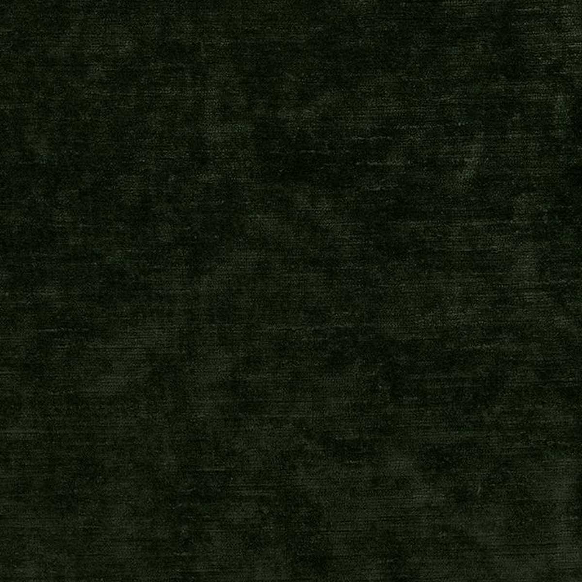 Belvedere Velvet F8130-06
